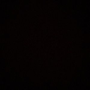 Meet your Posher, Elsa